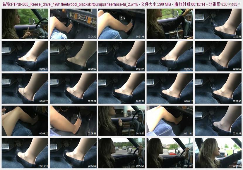 ptpdr-565_Reese_drive_1981fleetwood_blackskirtpumpssheerhose